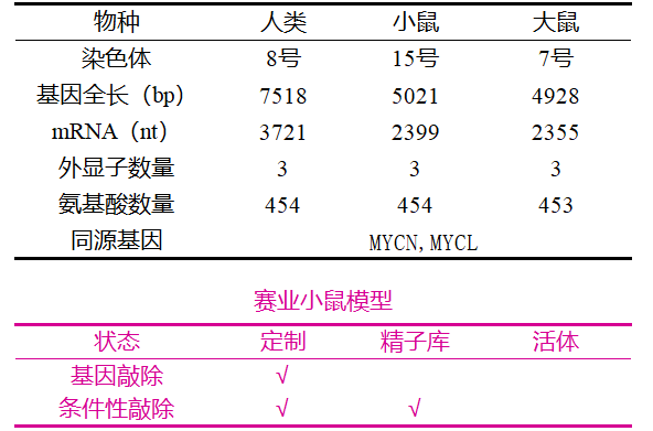 圖05.png