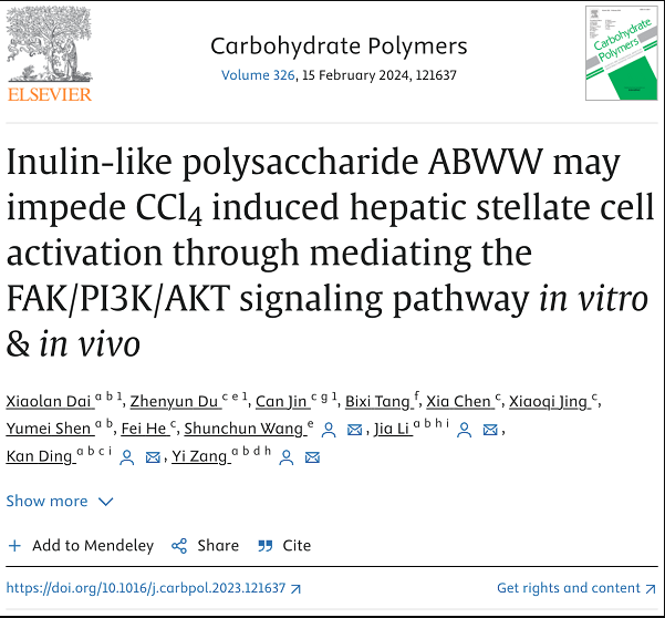Carbohydr Polym | 上海藥物所合作發現菊粉樣果聚糖ABWW可通過抑制肝星狀細胞活化改善肝纖維化