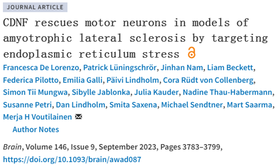 Brain:一種候選藥物延長肌萎縮性側(cè)索硬化癥嚙齒動物模型的壽命并緩解癥狀