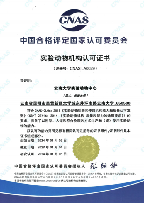 【云南】云南大學(xué)實(shí)驗(yàn)動(dòng)物中心順利通過(guò)CNAS實(shí)驗(yàn)動(dòng)物機(jī)構(gòu)認(rèn)可