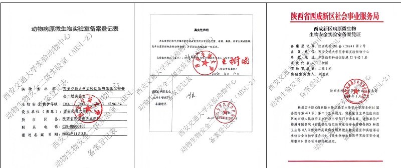 創新港實驗動物中心動物生物安全二級實驗室（ABSL
