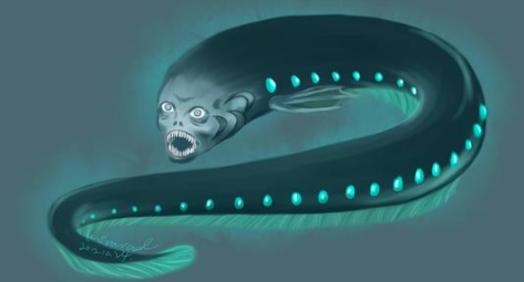 Science:各種各樣的魚類是怎樣進化出電器官